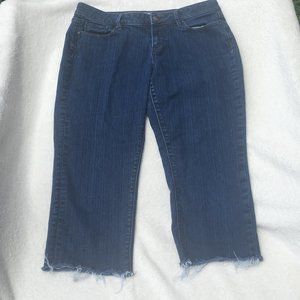 Loft Jeans, sz 10P, modern skinny
